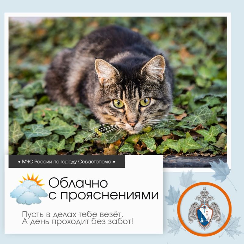 Доброе утро, Севастополь!. По данным гидрометцентра, 15 октября в Севастополе будет облачно с прояснениями