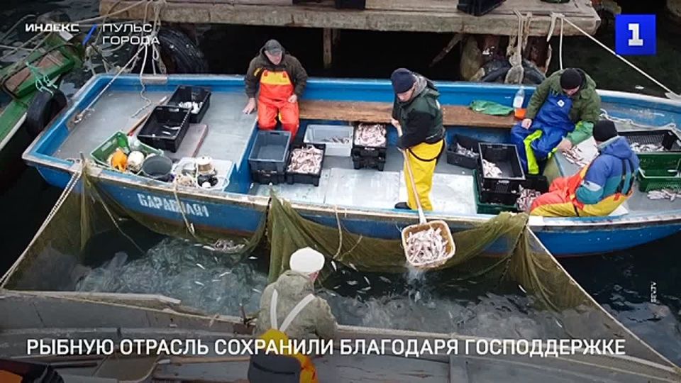 7 рыбопромысловых предприятий в Севастополе смогли продолжить свою работу благодаря господдержке