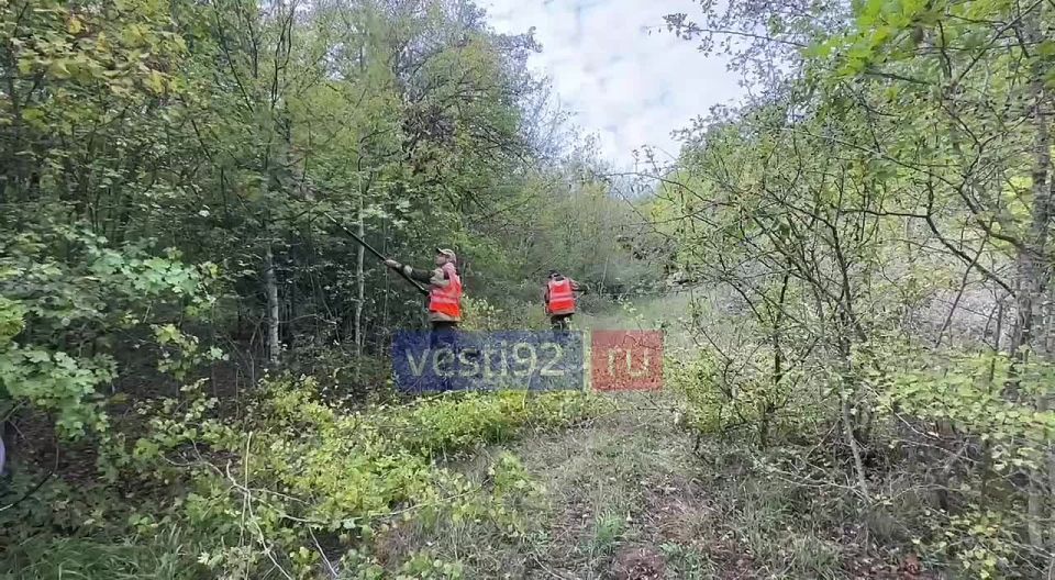 Сегодня специалисты дирекции особо охраняемой природной территории и лесного хозяйства работают в Мекензиевском лесничестве