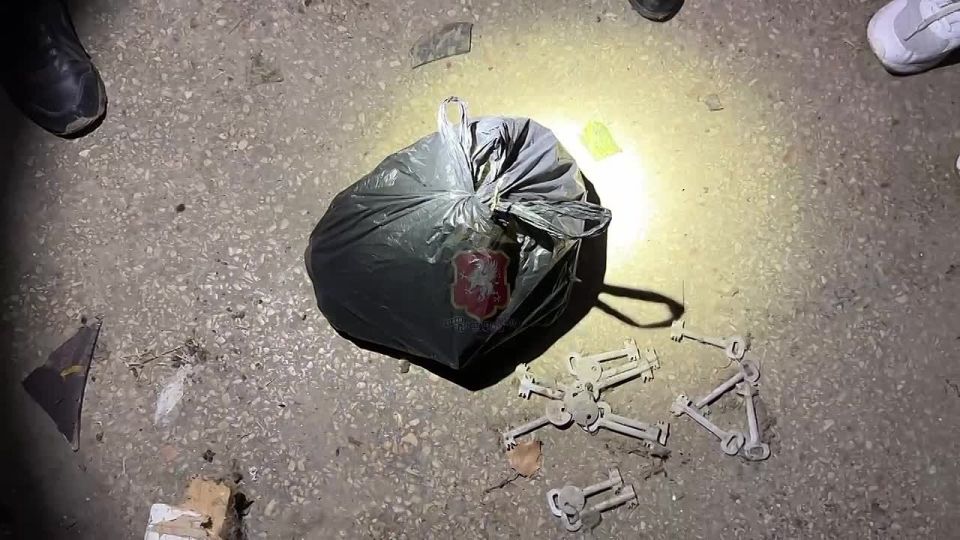 В Севастополе отец-охранник обнаружил дикорастущую коноплю и решил разделить «урожай» с сыном