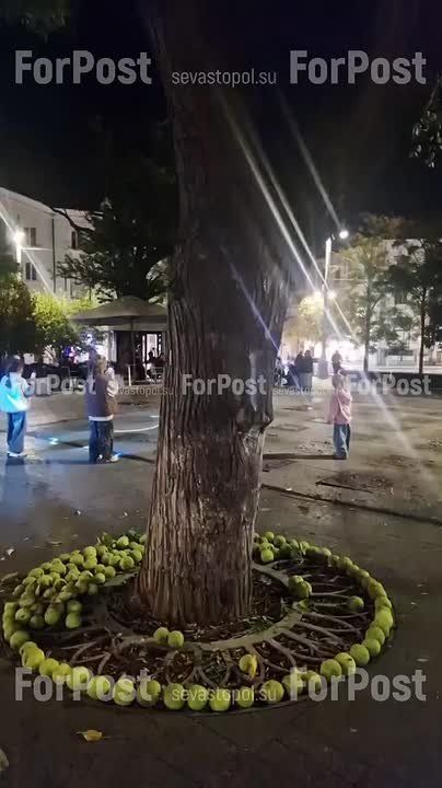 Дети сделали красиво на вечерней площади Ушакова