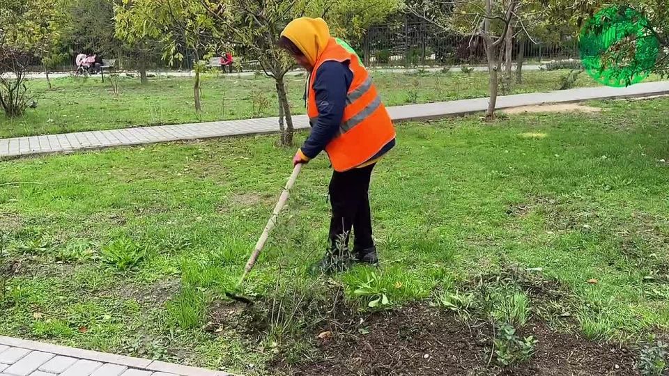 «Парки и скверы» показали, как ухаживают за зелёными зонами Севастополя