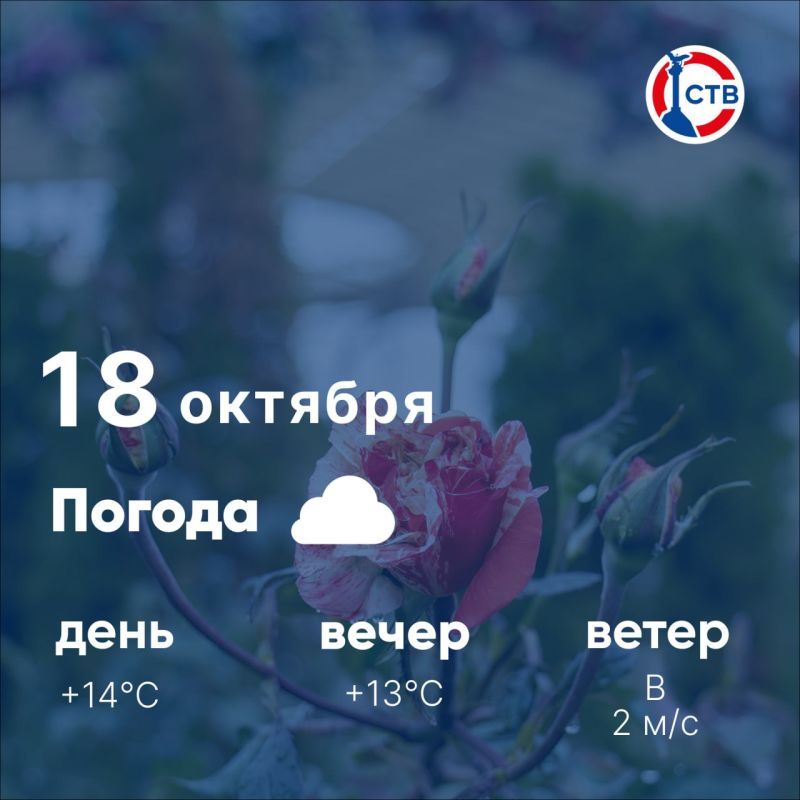 ������ ����, �������������! �������, 18 �������, � ������ �������