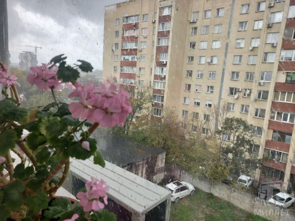 ������ ��������� ��������. ���� 19 ������� � ����� ����� �����, ������� �������