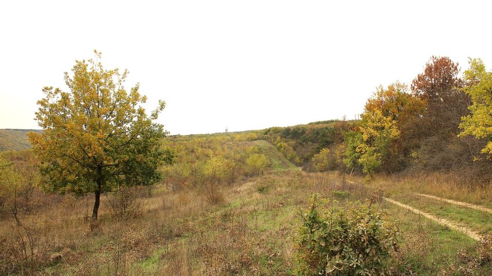 Погода на 19 октября 2025 года в Крыму и Севастополе: воздух прогреется до 15 градусов