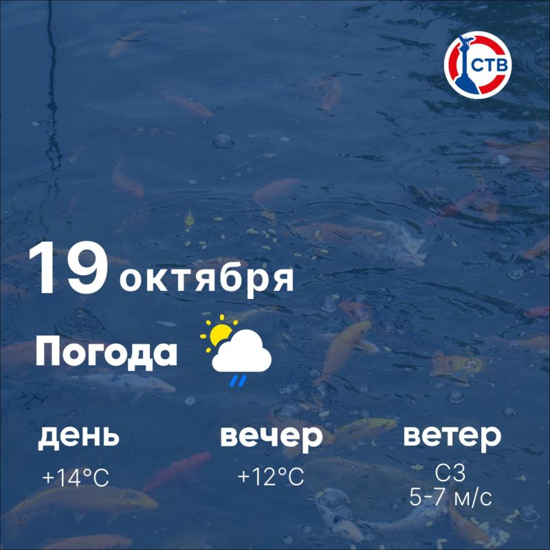 ������ ����, �������������! �������, 19 �������, � ������ ���������� ����������