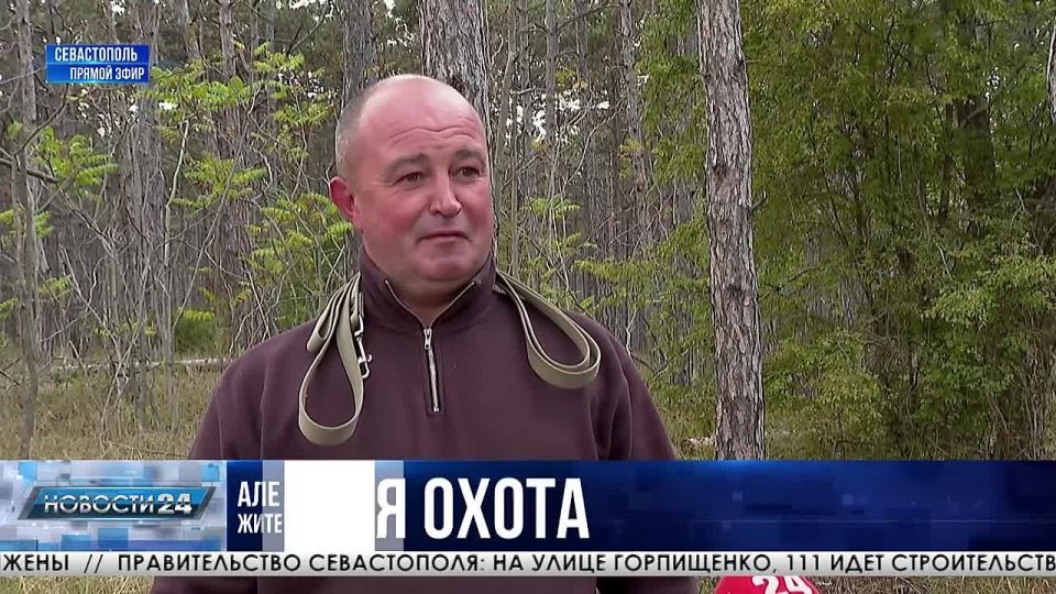 Грибной сезон: что попадает в корзинки севастопольцев и крымчан этой осенью?