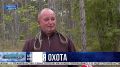 Грибной сезон: что попадает в корзинки севастопольцев и крымчан этой осенью?
