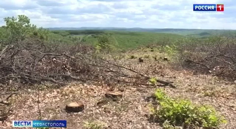 11111В Севастополе рассказали, как готовят специалистов на проекте «Школа мэров»