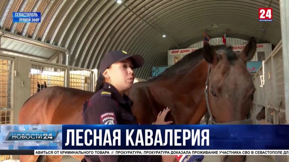 За год сотрудники конной полиции и лесничества Севастополя проводят около 2000 рейдов