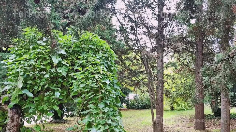 Балаклавской неспешной не-марины вам в ленту, отдохнуть от новостного темпа дня