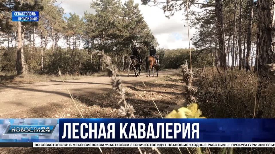Выйдем в поле с конём…чтобы поймать нарушителя! Как проходят патрулирования территорий сотрудниками кавалерийского взвода?