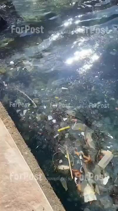 На Хрусталку сегодня нанесло