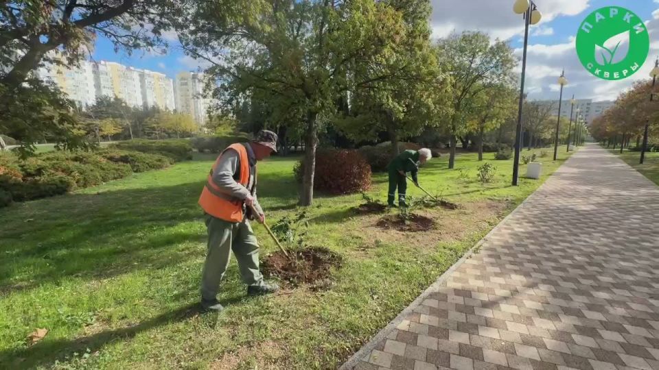 Парк Победы готовят к осенней высадке растений