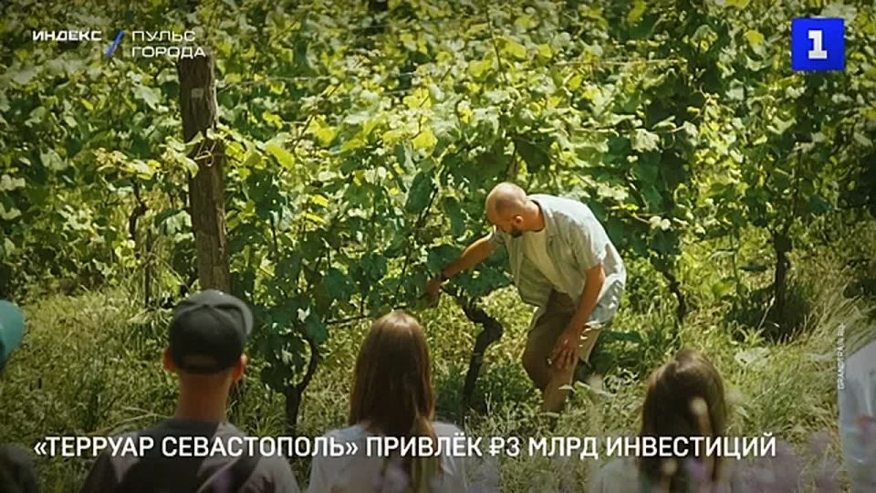 Проект «Терруар Севастополь» в 2024 г. привлёк более 3 млрд руб