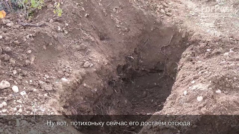   -       -34,     1944 