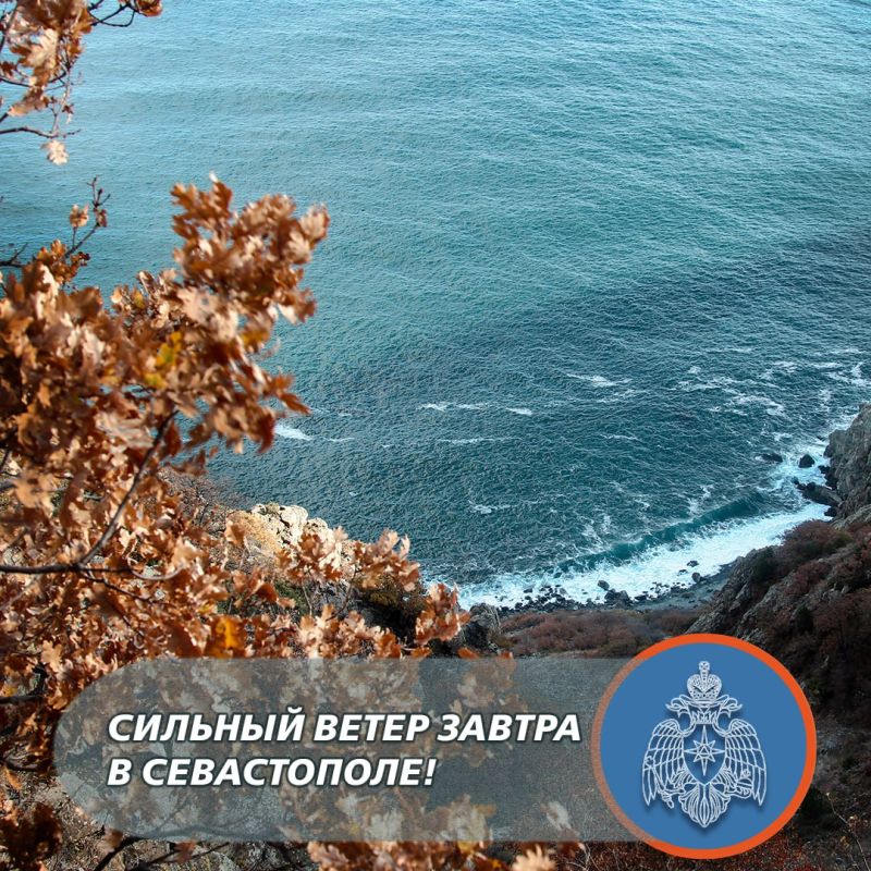 Сильный ветер ожидается в Севастополе!