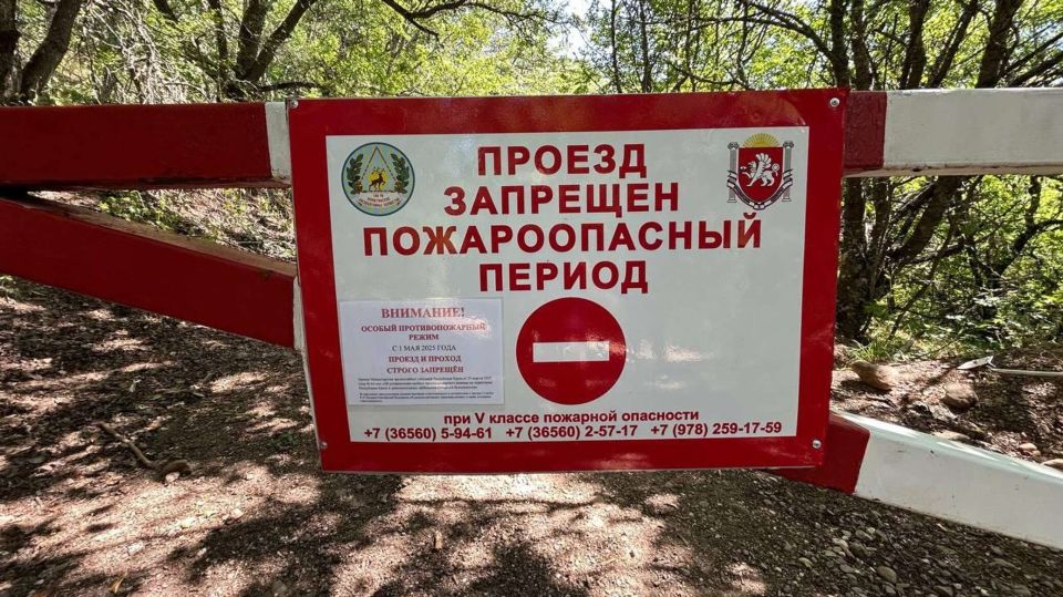 � ����������� ������� ���� ��������� �������������� ������-2025