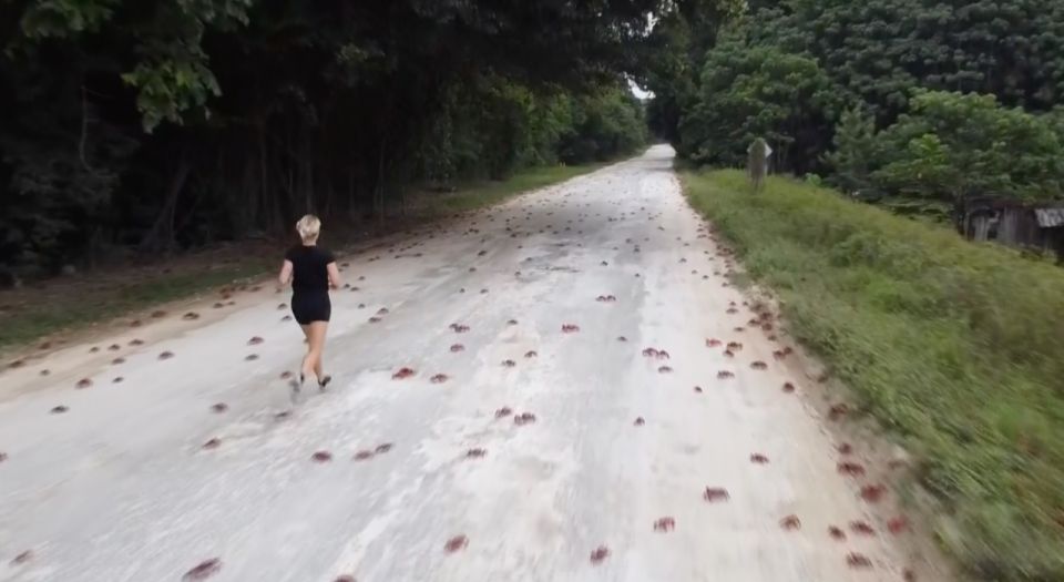 ������ ������ ������������� ������ � ���������
