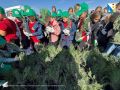 Севастопольские школьники приняли участие в восстановлении леса
