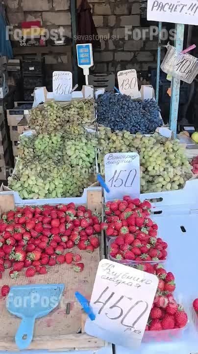 Севастопольские цены. Ягоды, фрукты, каштаны, кот