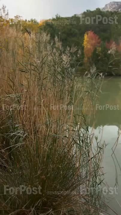 Тихая крымская осень на озере вблизи Шаан-Кая