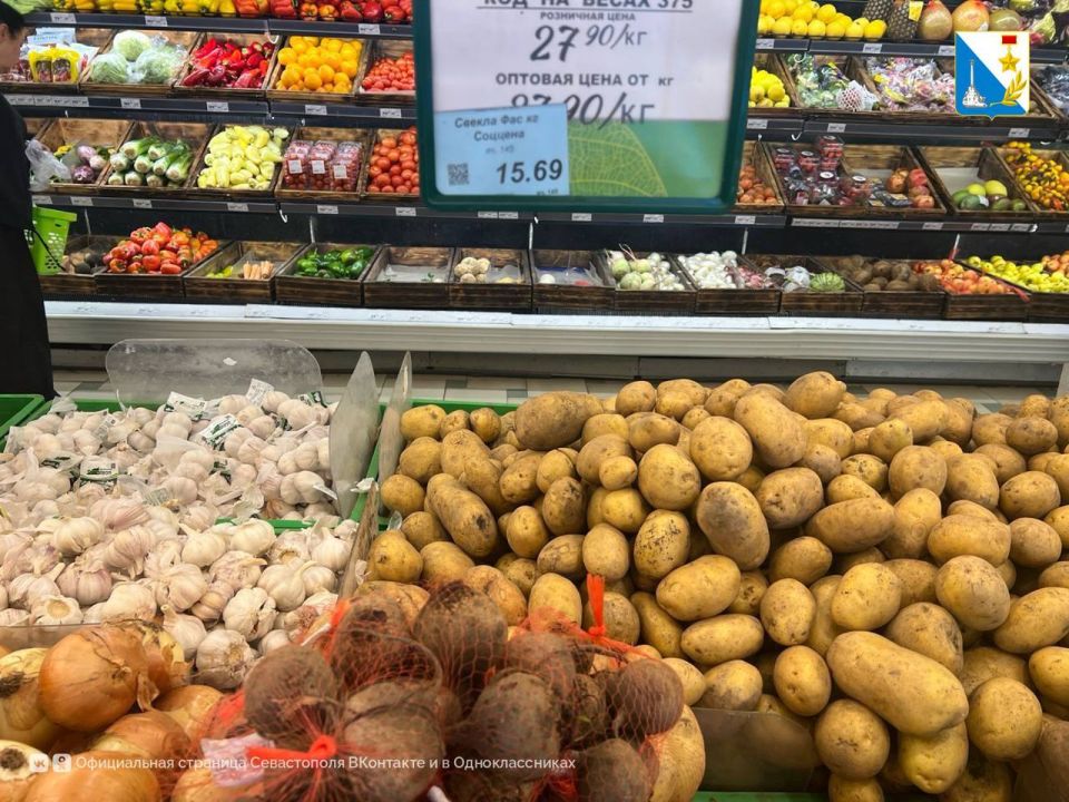 В Севастополе подешевели мясо, молоко и овощи