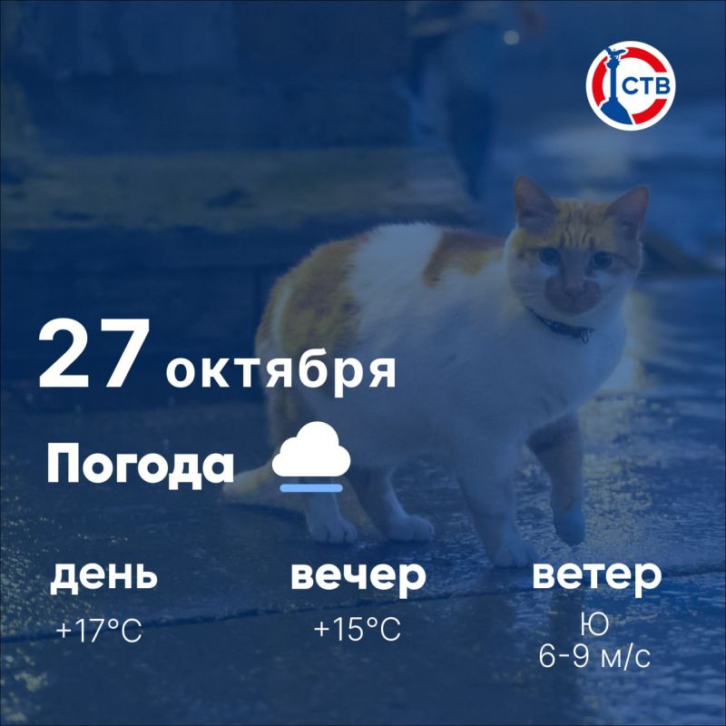 Доброе утро, севастопольцы! Сегодня, 27 октября, в городе пасмурно