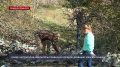 Более 30 человек вышли на уборку древней хоры Херсонеса на Фиоленте