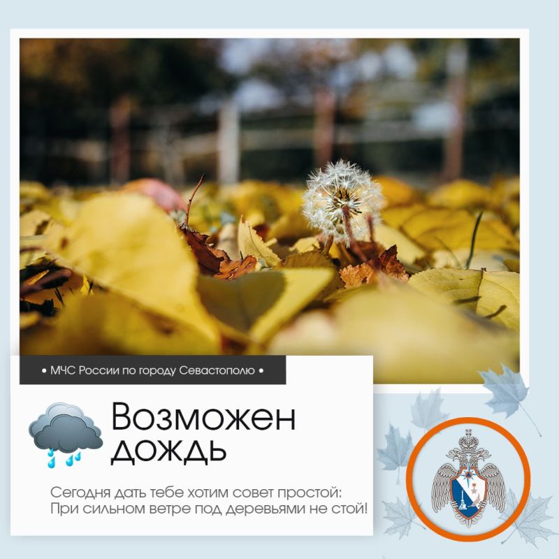 Доброе утро, Севастополь!. По данным гидрометцентра, 27 октября в Севастополе будет облачно