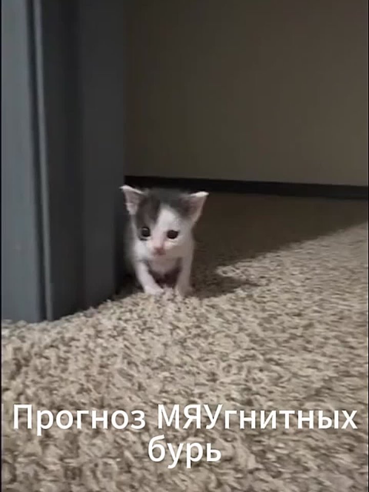 Неделя магнитных бурь: готовимся к встряске с 27 октября по 2 ноября