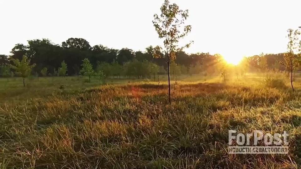 Рассветной коллекцией поделился с нами через @FP_infobot подписчик (спасибо, Юрий!), а мы добавили к ней коллекцию ностальгических советских радиосигналов "доброго утра"