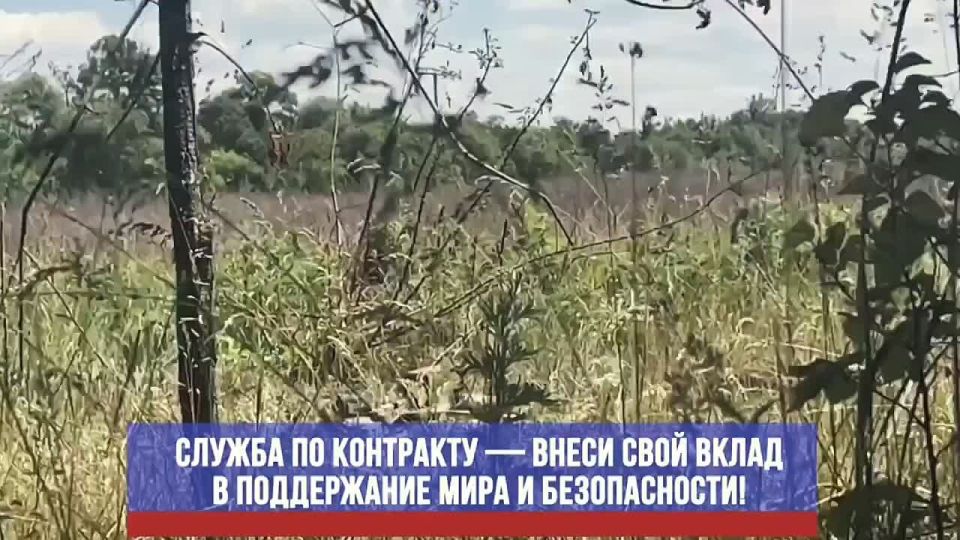 Твоя сила — надежда Отечества!