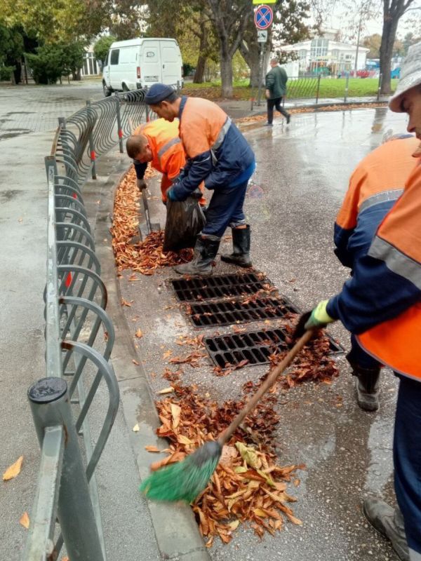 Водоканал: Рабочие моменты. Удаление с ливневых решеток нанесенной потоками воды листвы Фото Александра Головко и Николая Ерёмина
