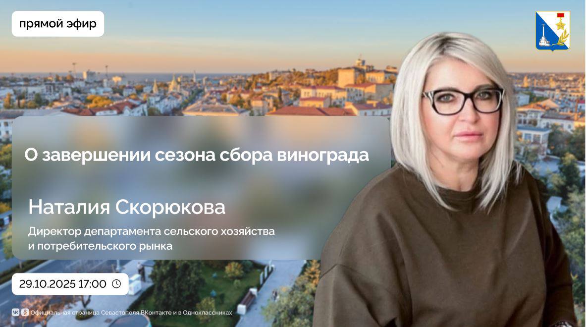 Как завершился сезон массового сбора винограда? Чем запомнилась агро-промышленная выставка «Золотая осень — 2025? Сколько новых виноградников появится в Севастополе?