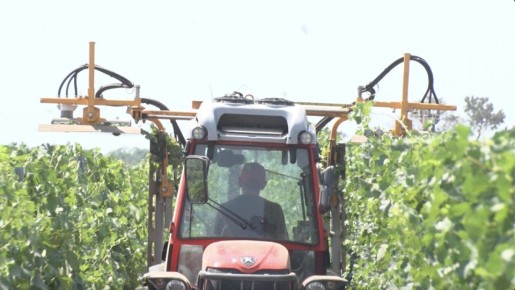 Винодельческий коворкинг появится в Севастополе