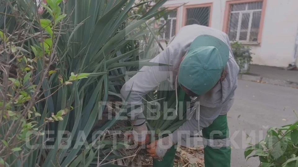 На улице Терещенко специалисты ГБУ «Парки и скверы» ведут сезонные работу по уходу за растениями
