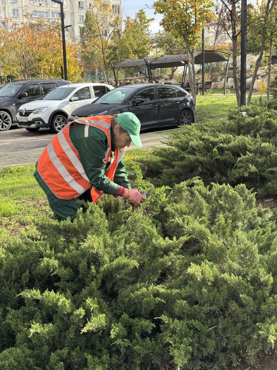 Сегодня специалисты ГБУ «Парки и скверы» провели уходовые работы за зелёными насаждениями в сквере имени Астана Кесаева