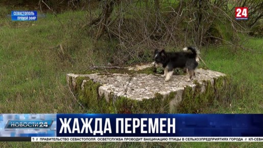 Жители двух севастопольских сёл просят подключить их к центральному водоснабжению