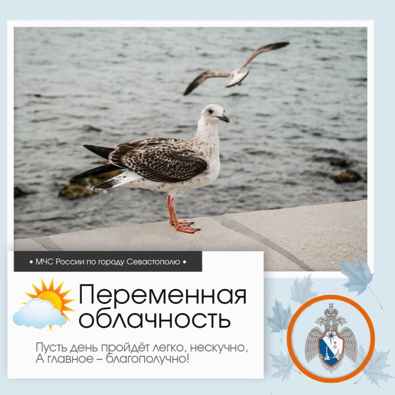 Доброе утро, Севастополь!. По данным гидрометцентра, 29 октября в Севастополе будет переменная облачность