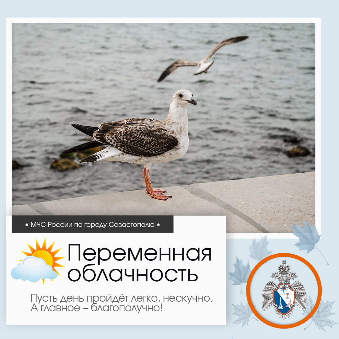 Доброе утро, Севастополь!. По данным гидрометцентра, 29 октября в Севастополе будет переменная облачность