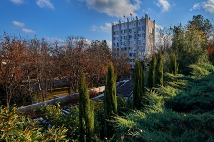 364 жителя Севастополя с начала года получили звание «Ветеран труда»