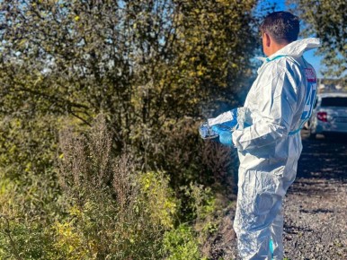В Терновском муниципальном округе ввели карантин по бешенству