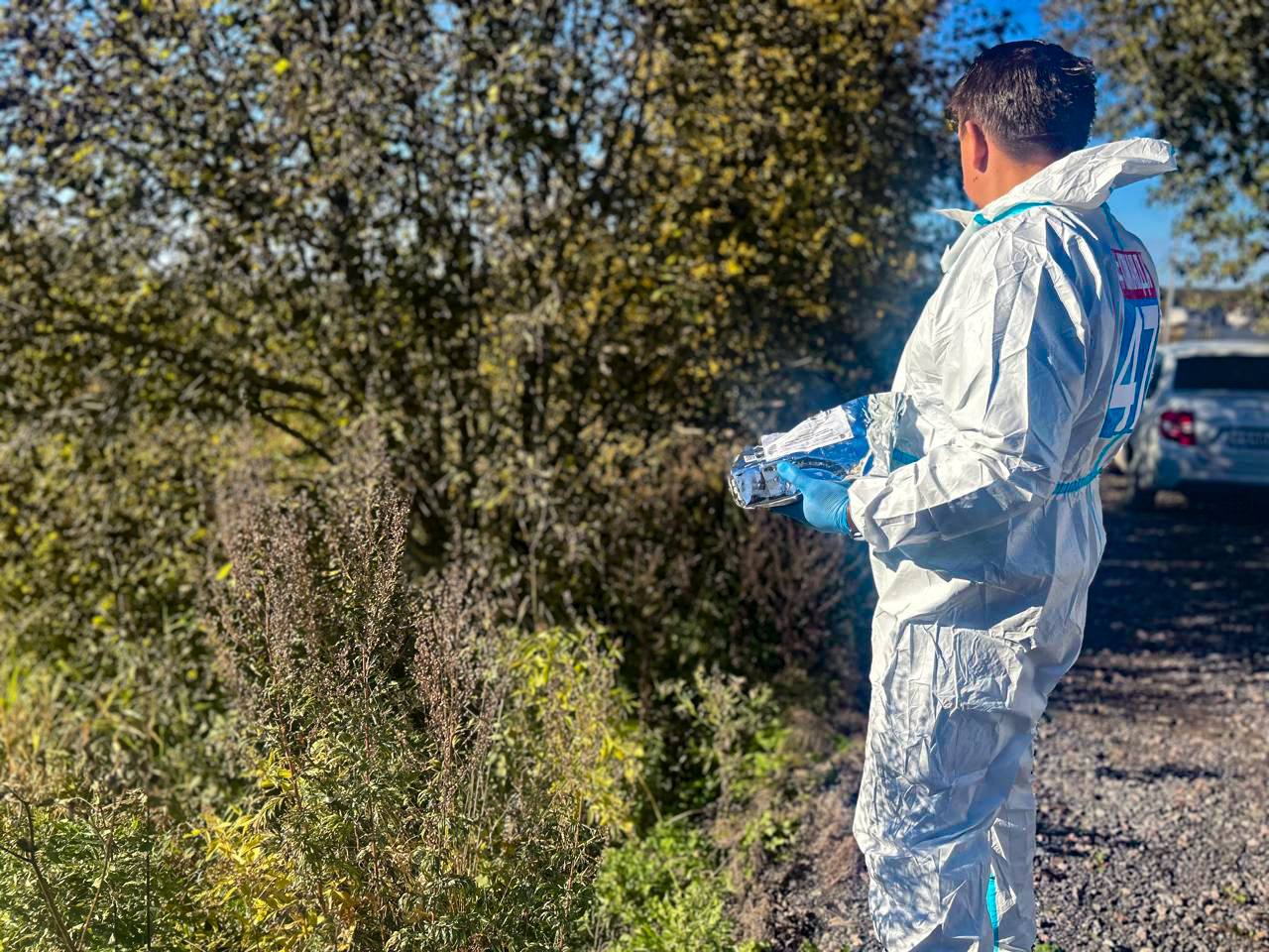 В Терновском муниципальном округе ввели карантин по бешенству