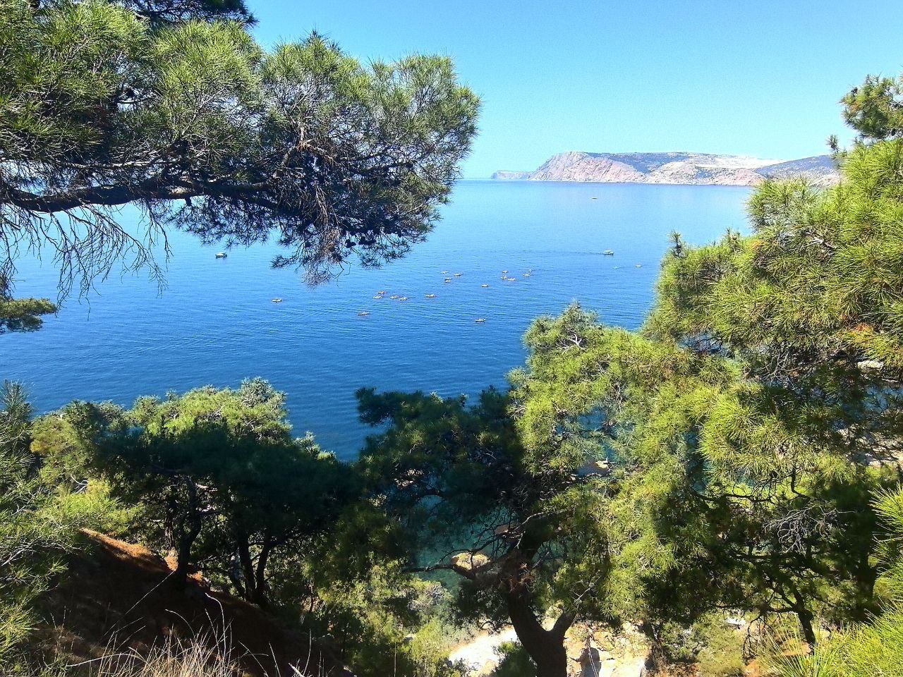 10 лет исполнилось Большой Севастопольской тропе