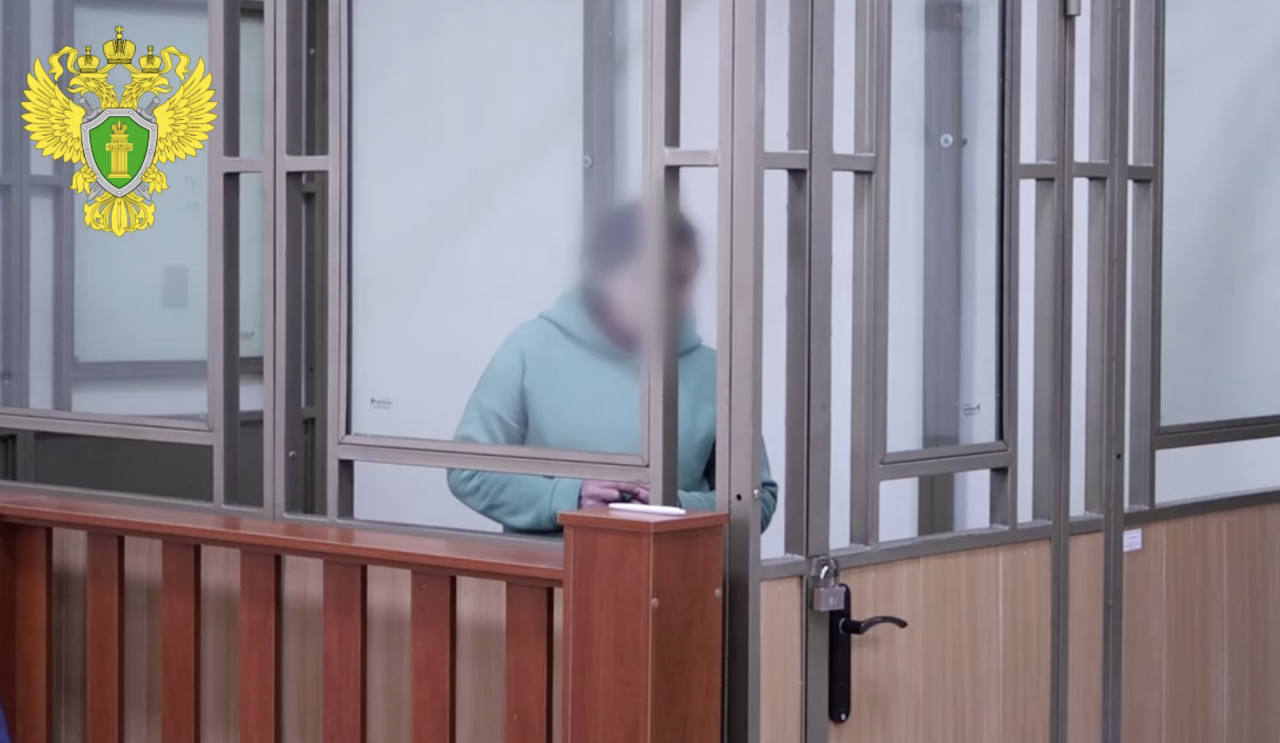 В Севастополе женщину осудили на 13 лет за госизмену