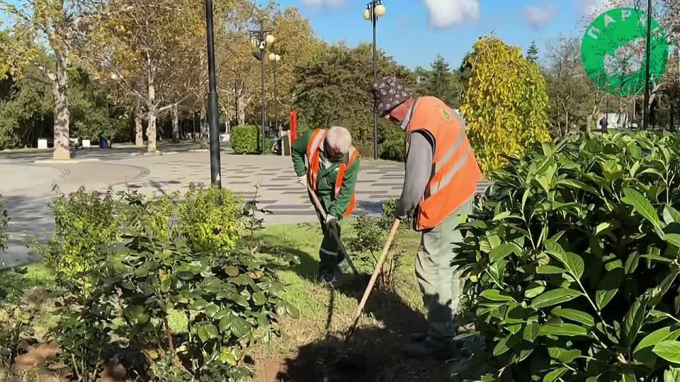 Специалисты «Парков и скверов» привели в порядок живую изгородь в сквере Героев специальной военной операции