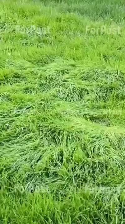 Бабье лето 2.0 в Севастополе. Вот кто поверит, что завтра 1 ноября?