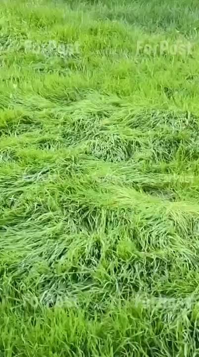 Бабье лето 2.0 в Севастополе. Вот кто поверит, что завтра 1 ноября?