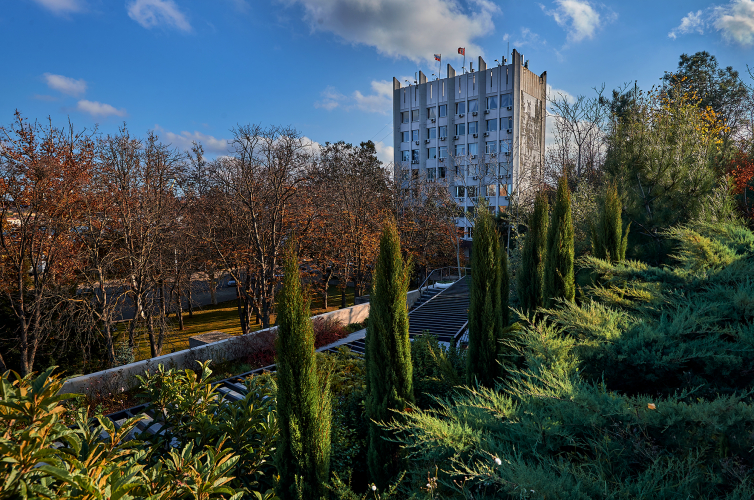 С 2026 года упростят предоставление региональной социальной доплаты к пенсии